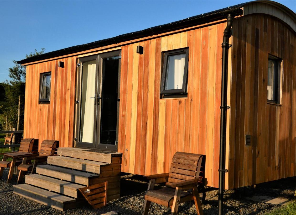 Farm Stay Snowdonia Coast Dolgellau Zewnętrze zdjęcie