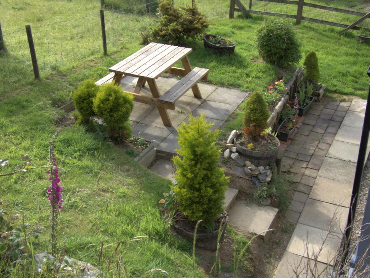 Farm Stay Snowdonia Coast Dolgellau Zewnętrze zdjęcie