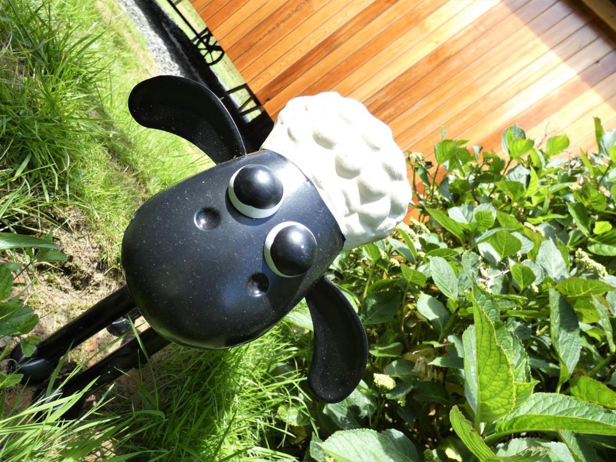 Farm Stay Snowdonia Coast Dolgellau Zewnętrze zdjęcie