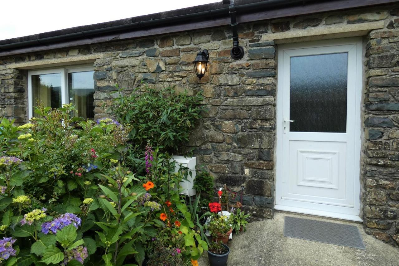 Farm Stay Snowdonia Coast Dolgellau Zewnętrze zdjęcie