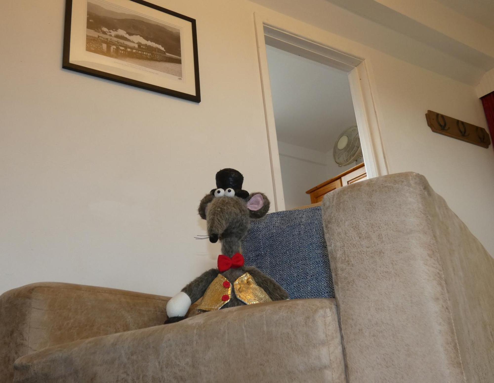 Farm Stay Snowdonia Coast Dolgellau Zewnętrze zdjęcie