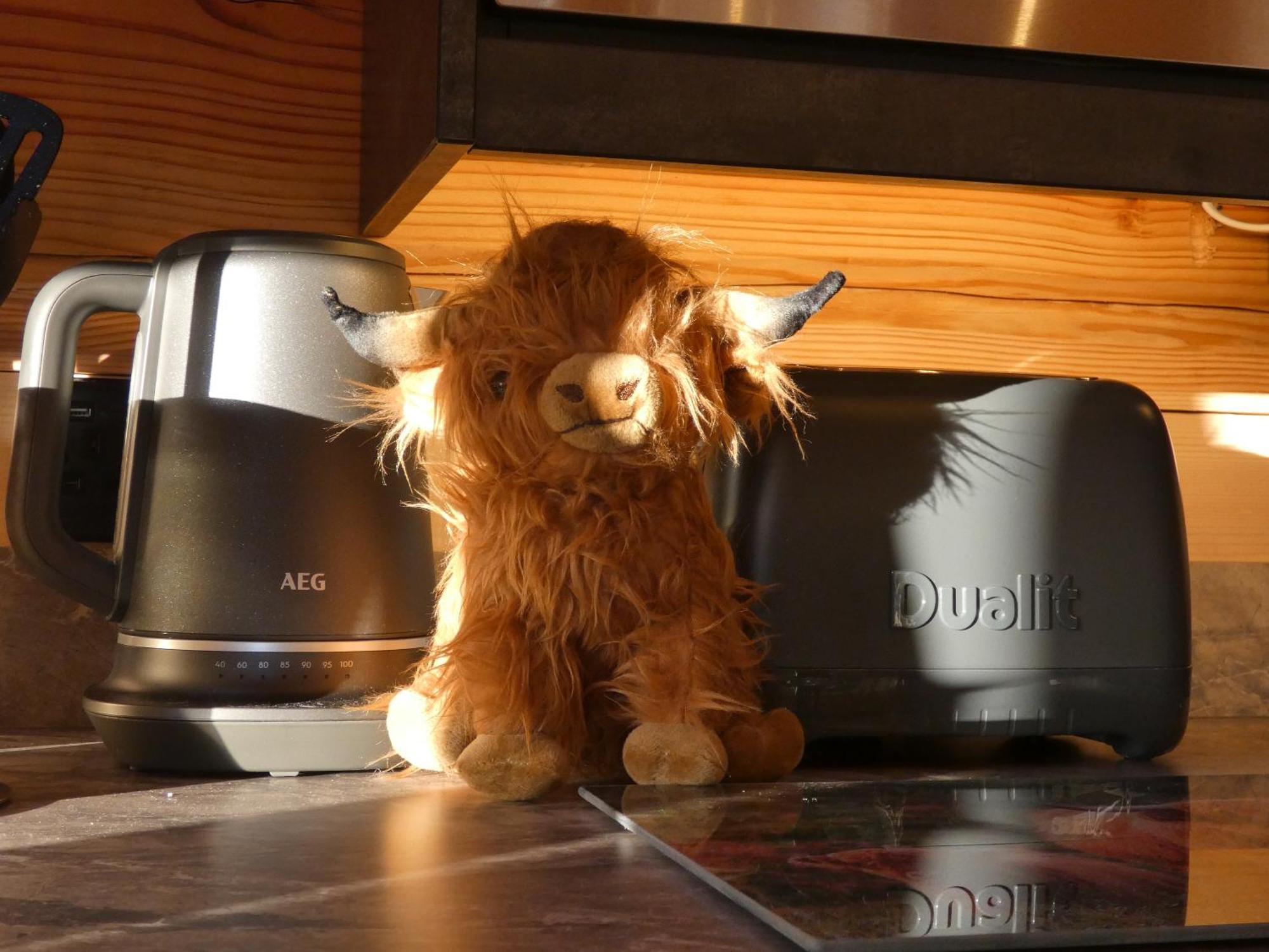Farm Stay Snowdonia Coast Dolgellau Zewnętrze zdjęcie